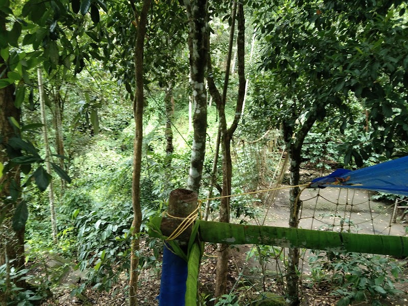 Green Camping parking property view