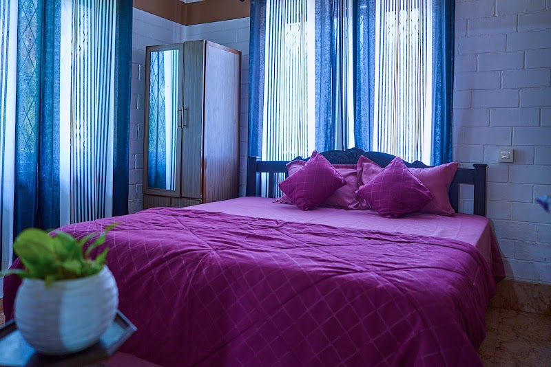 Eva Homestay property view