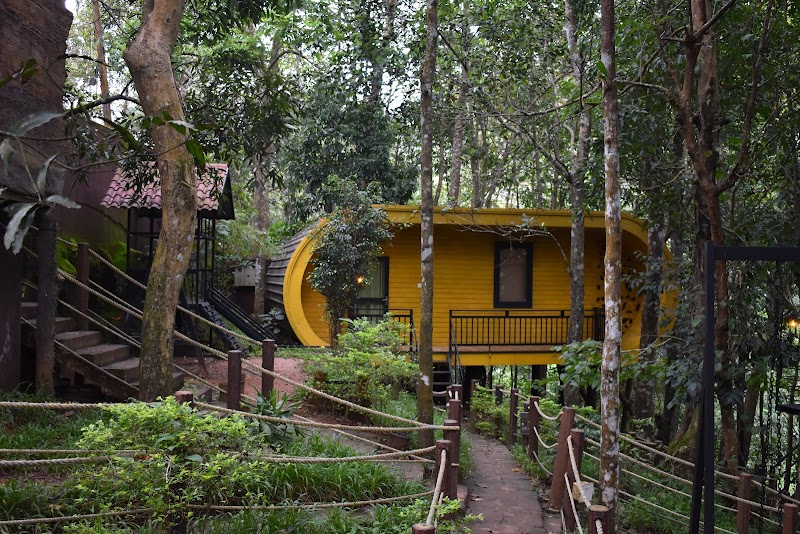 Jungle Beats Resorts