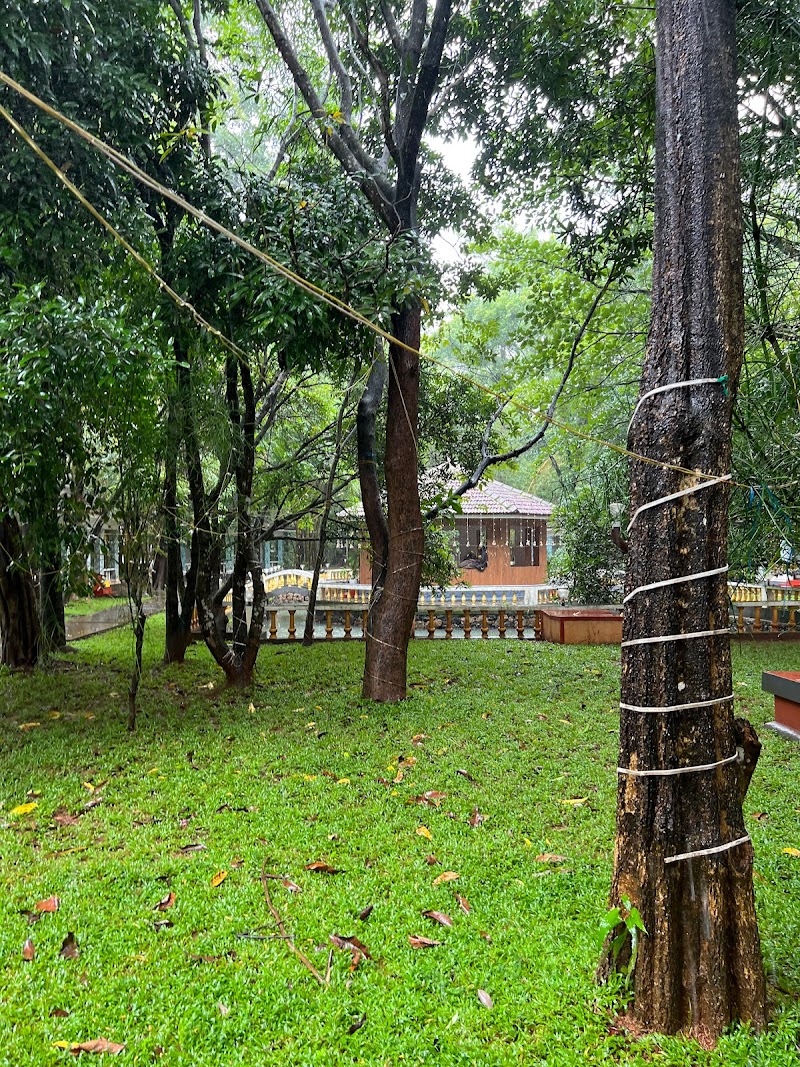 Surya Eco And Wedding Resort travel photo