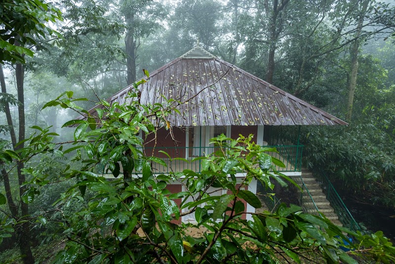 Oxygen Rainforest Resort travel photo