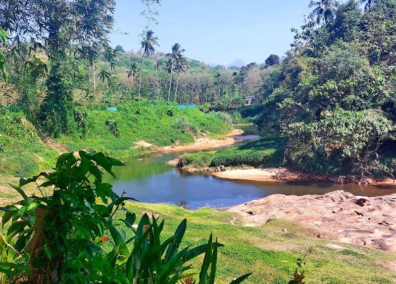 Maya Forest Lodge stay view