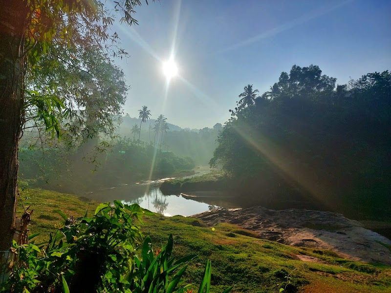 Maya Forest Lodge property view