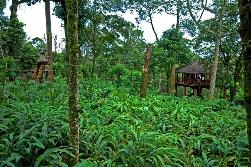 Carmelia Haven Resort travel photo