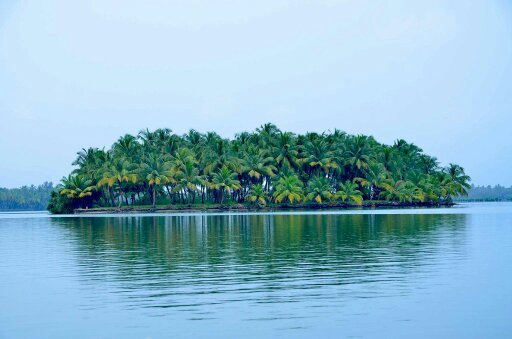 Kavvayi Beach House property view