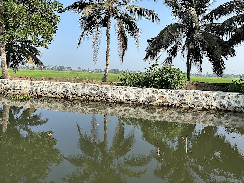 Alleppey Haven Homestay travel photo