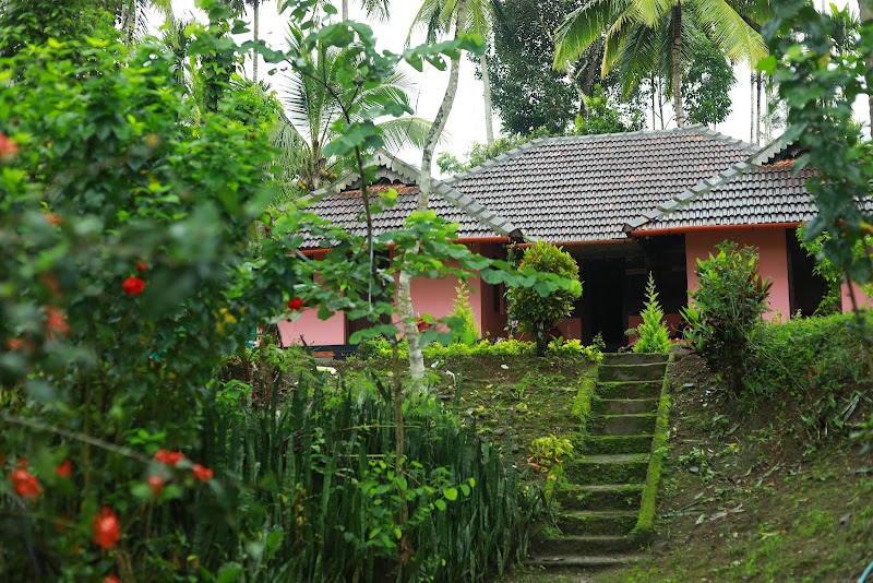 Coffeeisland vintage stay property view
