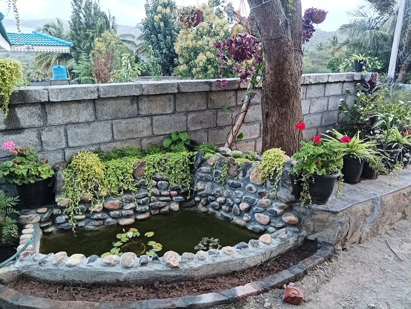 Bhasuri Villa photo