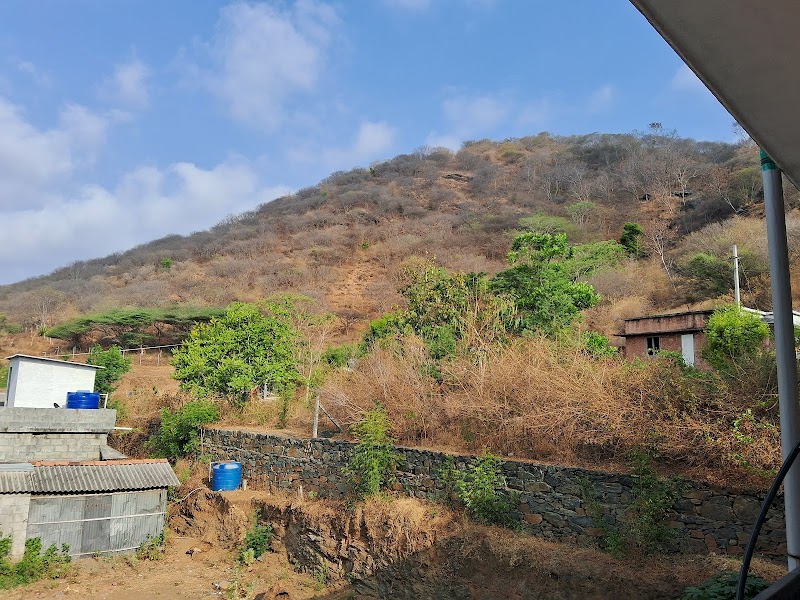 Bhasuri Villa room