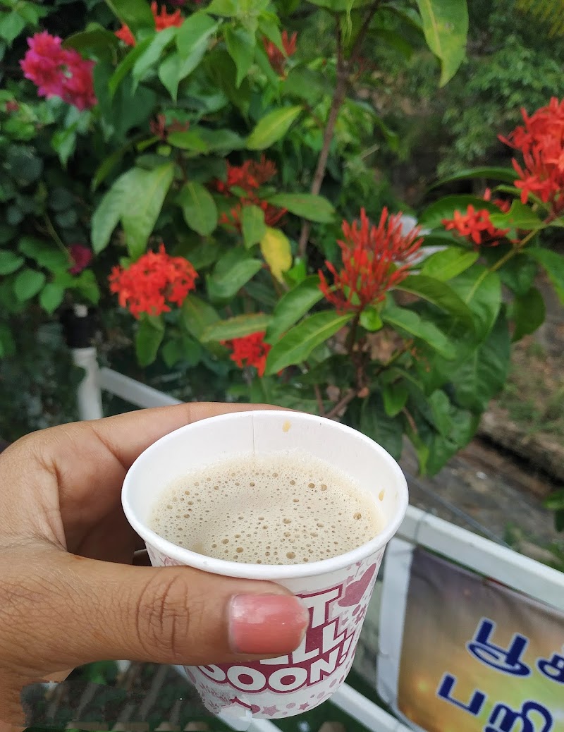 Subha Homestay travel photo