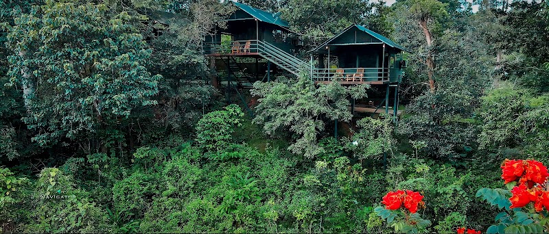 Wayanad Wildlife Resort
