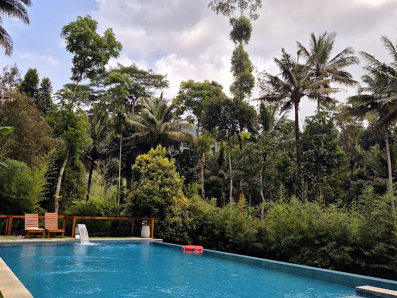 Amaana Plantation Resort stay view