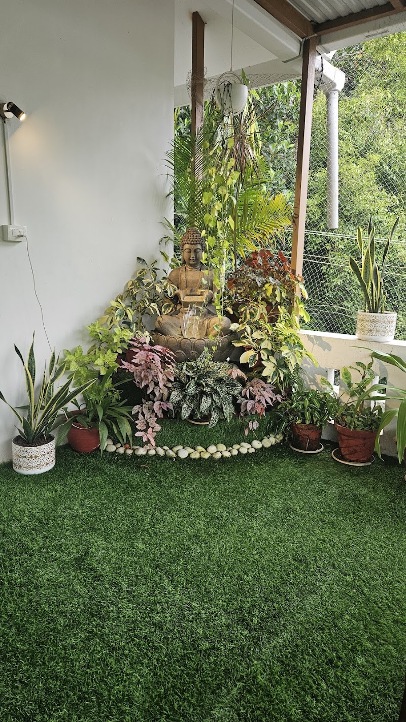 Parudeesa Homestay travel photo