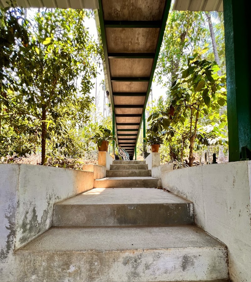 Greens Vista Homestay photo