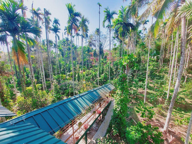 Greens Vista Homestay stay view