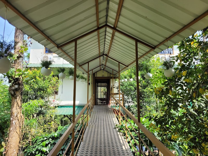 Greens Vista Homestay travel photo