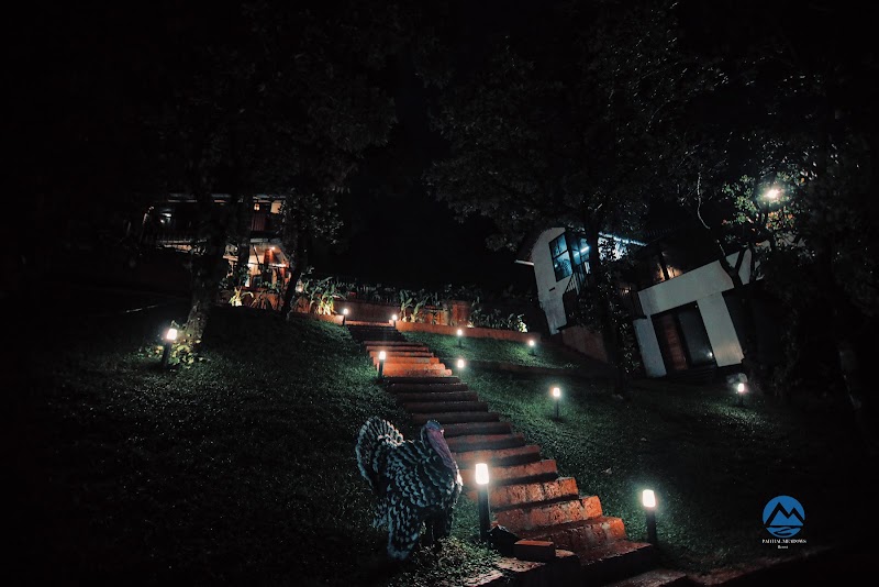 Paithal Meadows Resort property view