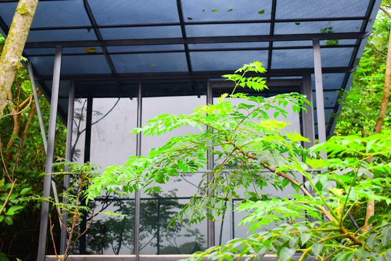 MindFreeStation Home stay photo