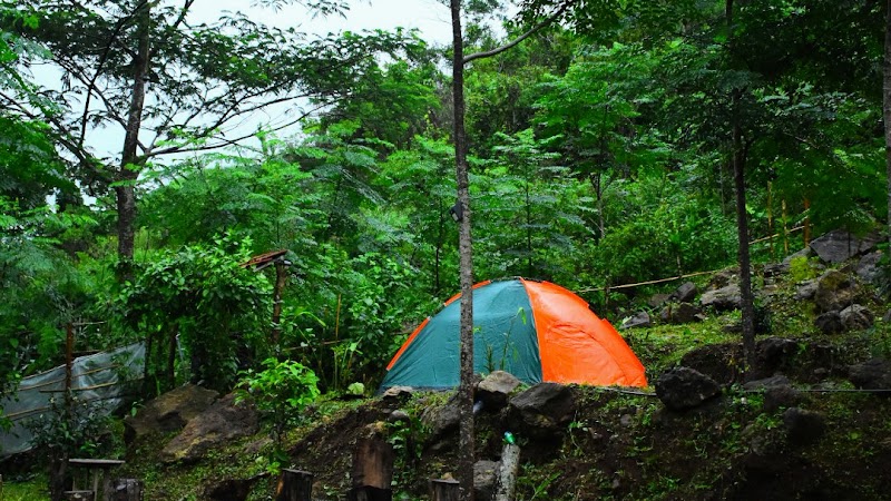MindFreeStation Home stay room