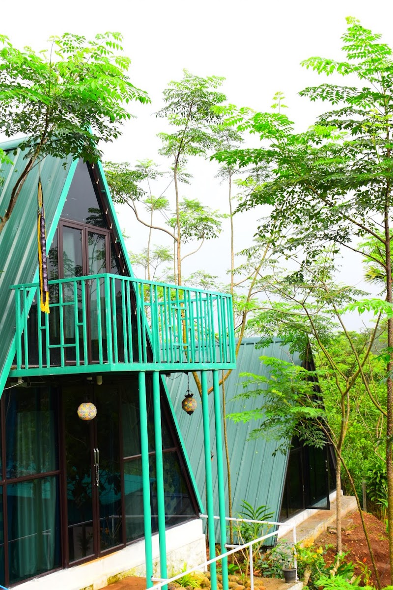 MindFreeStation Home stay travel photo