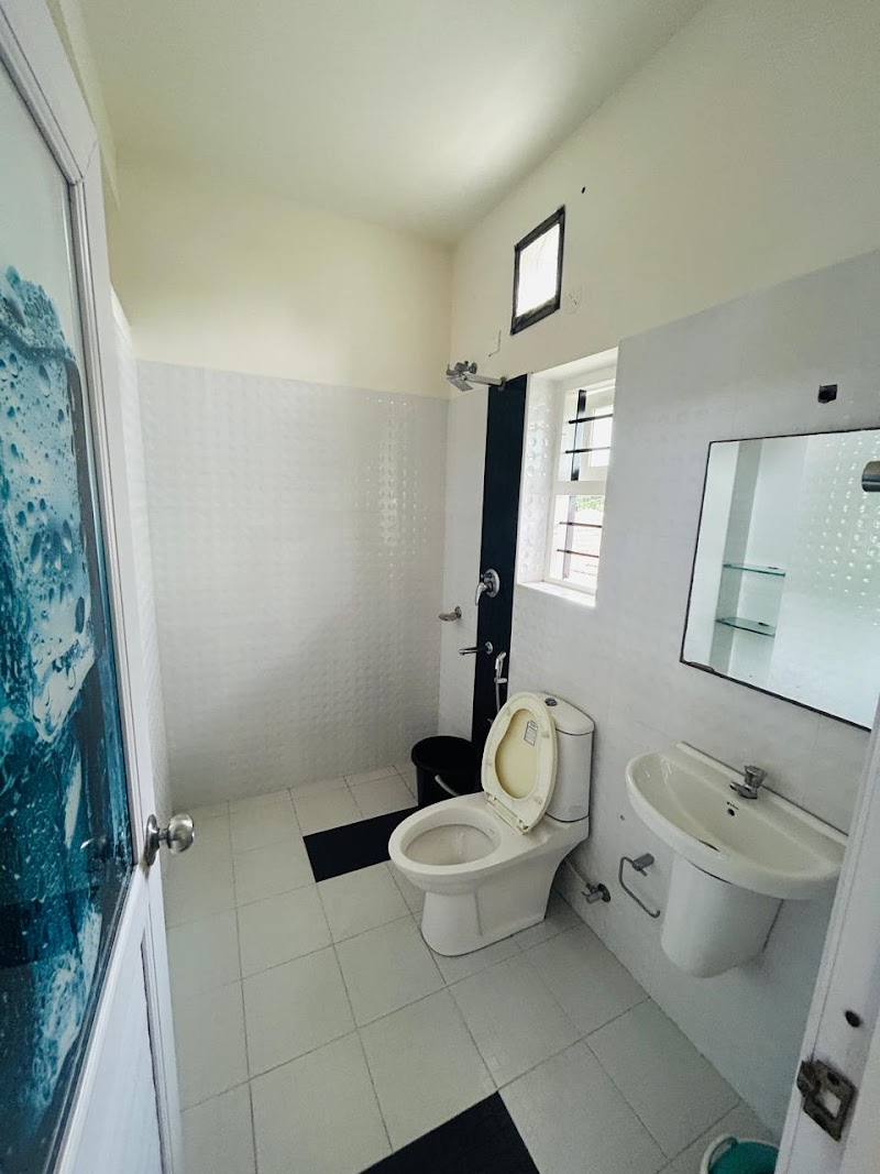 Dream Nest stay view