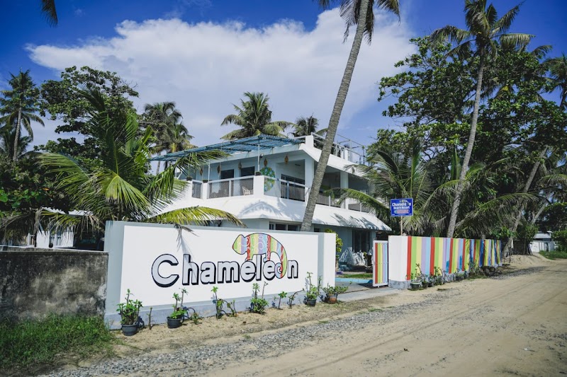 Chameleon Beach Hotel room