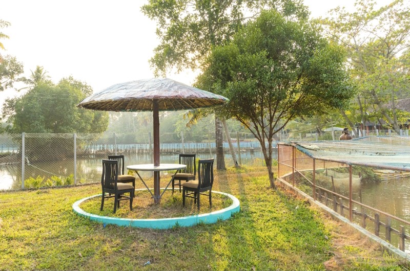 Thodukayil - The Lakeside Homestay stay view