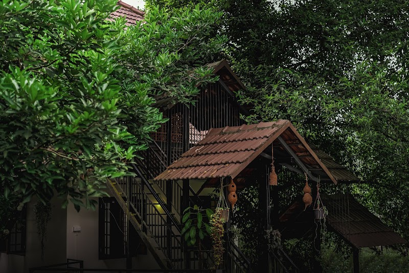 Jathikka Homestay stay view
