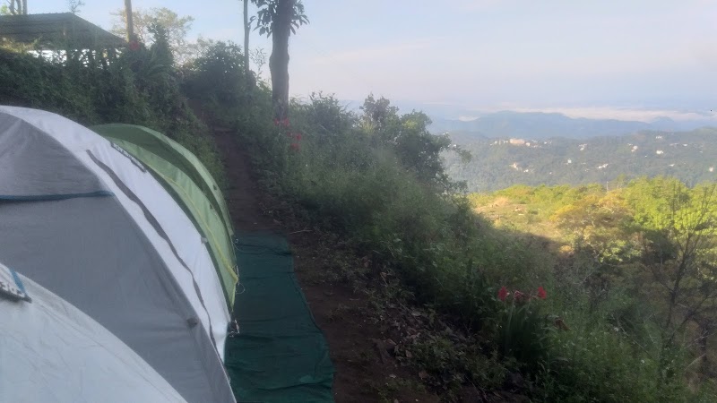 Munnar Sparrow Camping