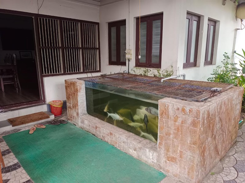 Pearl Beach Bungalow Heritage Home stay view