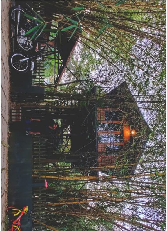 Greenlea Tree House property view
