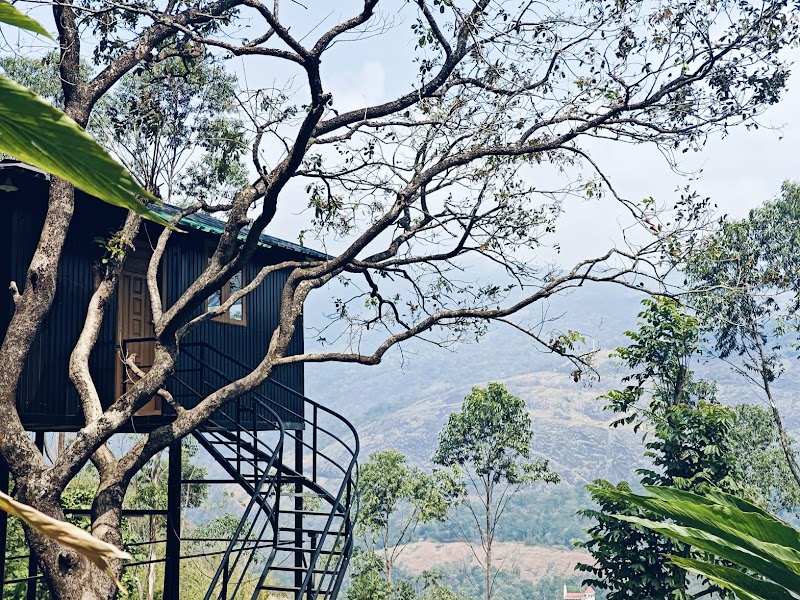 Woodbee Resort property view