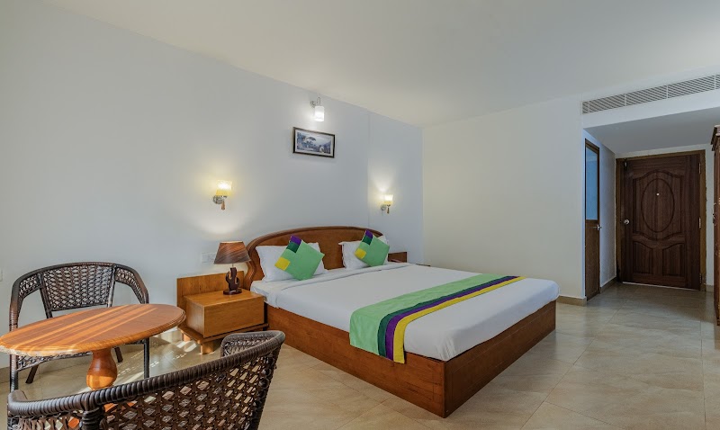Treebo Sadhoo Heritage room