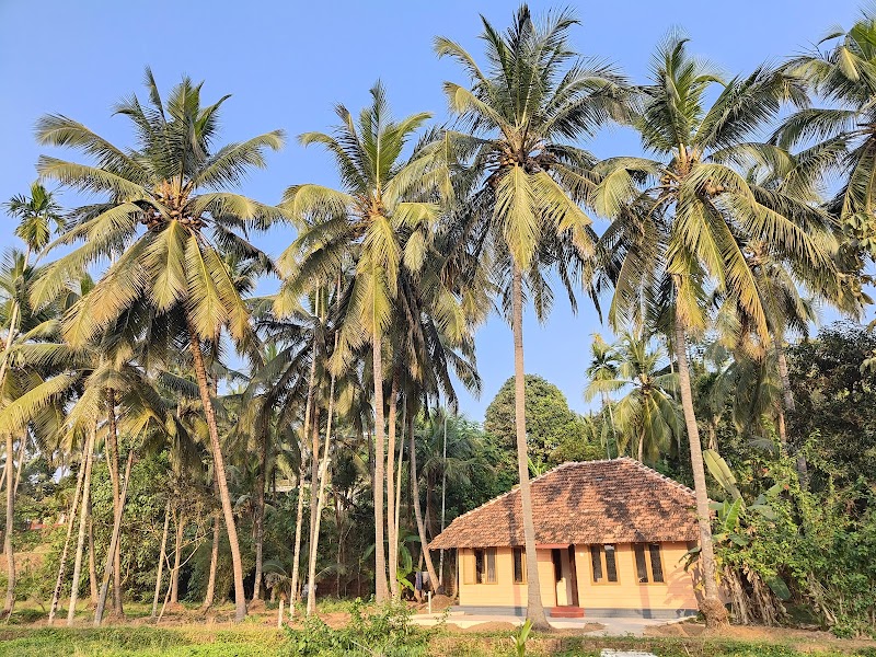 River View Homestay room