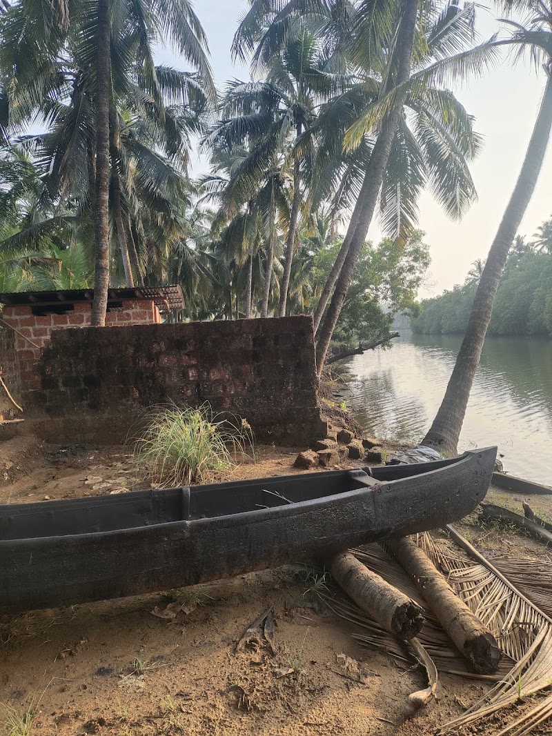 River View Homestay stay view
