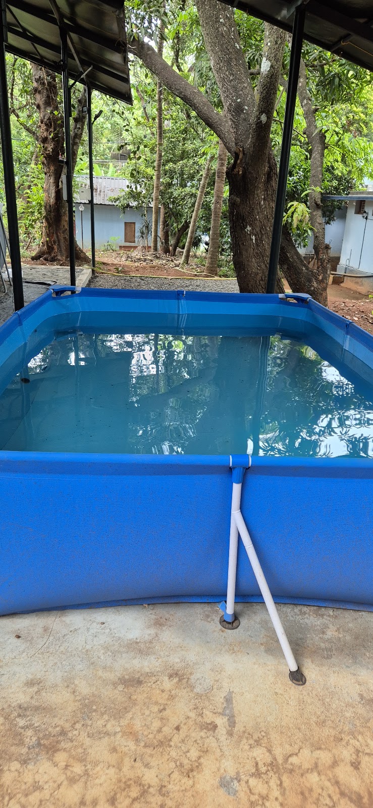 Pudumana Homestay stay view