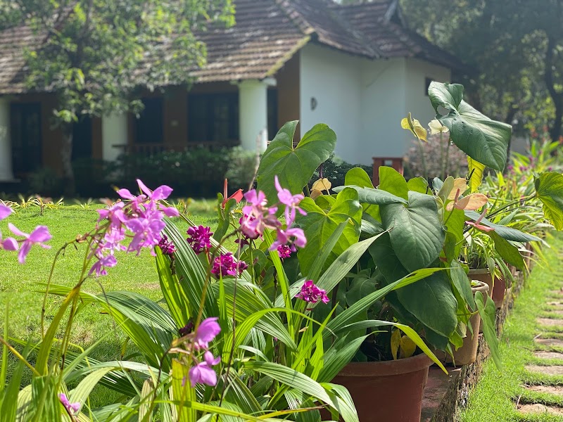 Yantra Ayurvedic Beach Resort property view