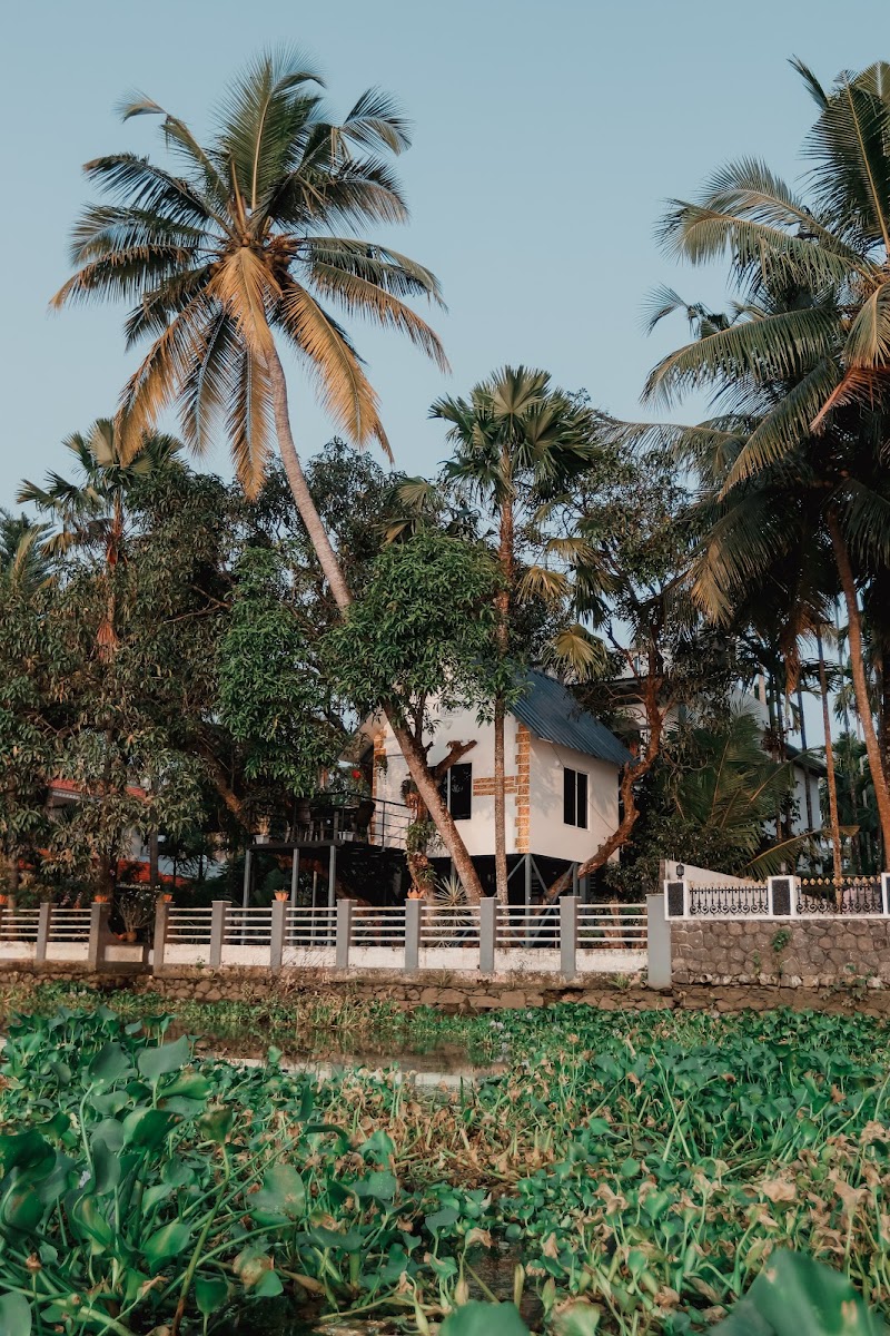Priyoor Treehouse photo