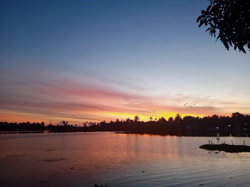 Priyoor Treehouse stay view