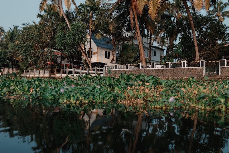 Priyoor Treehouse property view