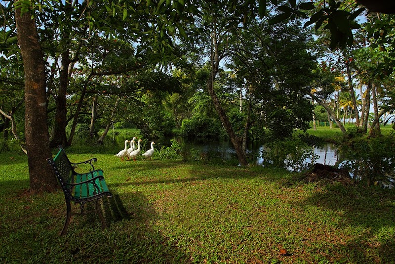 Abad Turtle Beach travel photo