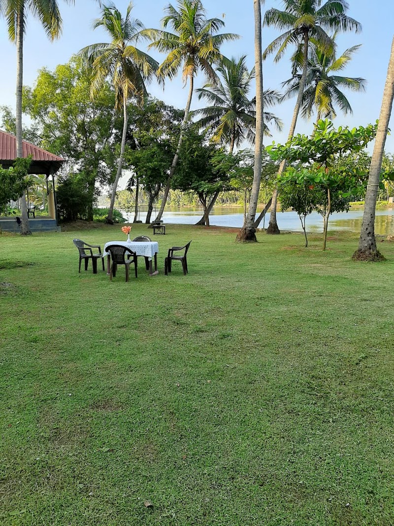 Backwater Home Stay and Resort stay view