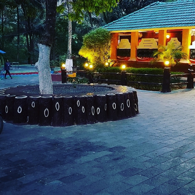 Treetop Resort photo