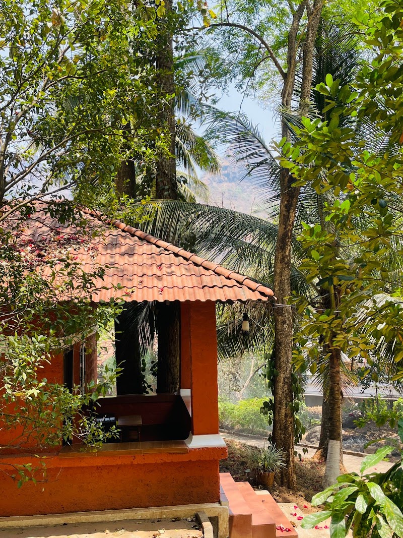 Treetop Resort stay view