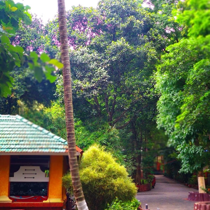 Treetop Resort property view