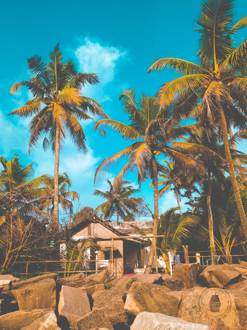 Alleppey Beach Home Stay stay view
