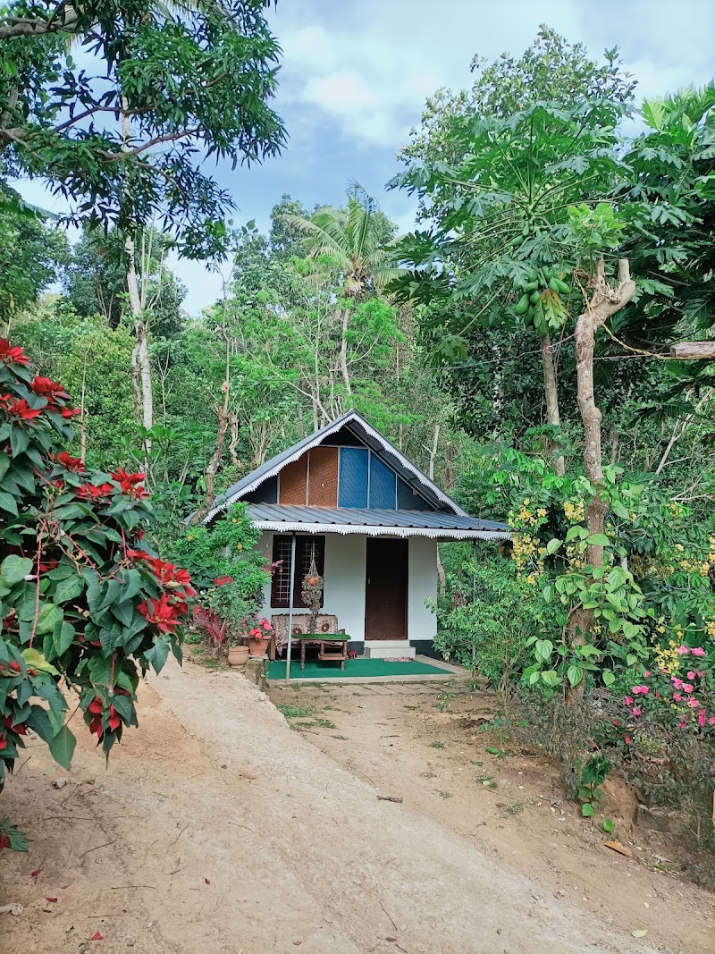 Best Kerala Homestay stay view