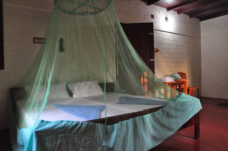Ocean Green Home Stay