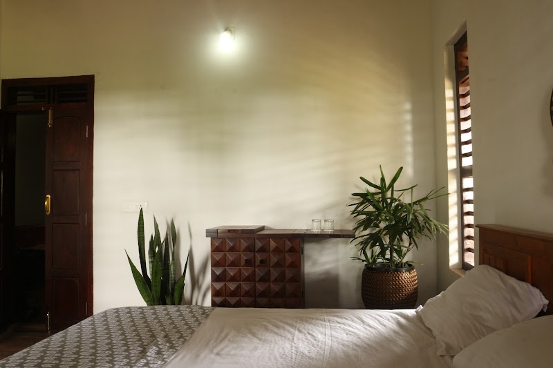Datcha The Sunday nest room
