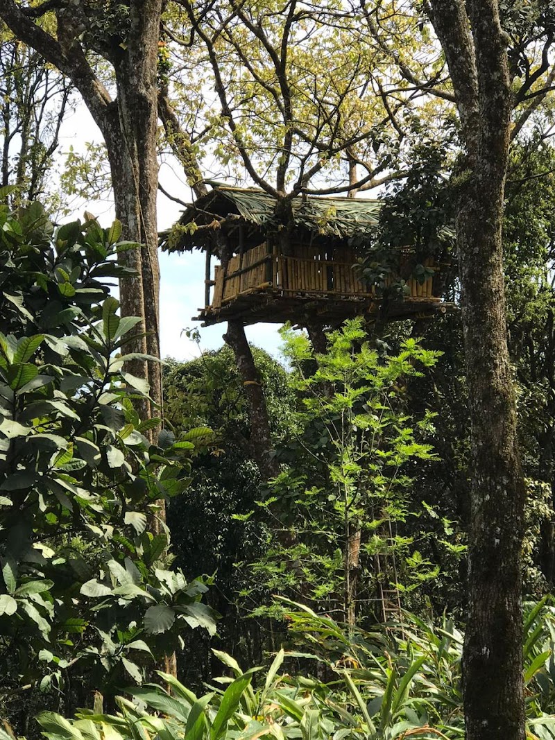 Rajappara Estate Homestay stay view